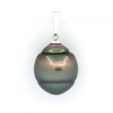 Rhodiated Sterling Silver Pendant and 1 Tahitian Pearl Ringed C 12.8 mm