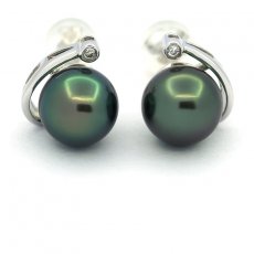 Rhodiated Sterling Silver Earrings and 2 Tahitian Pearls Round C+ 9.3 mm