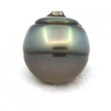 Tahitian Pearl Ringed C 13.5 mm