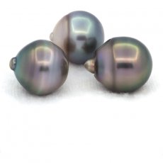 Lot of 3 Tahitian Pearls Ringed C from 12.1 to 12.4 mm