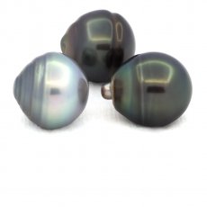 Lot of 3 Tahitian Pearls Ringed C from 12.5 to 12.9 mm