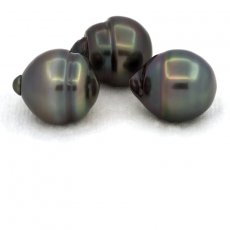 Lot of 3 Tahitian Pearls Ringed C from 11.5 to 11.9 mm