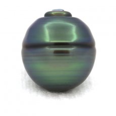 Tahitian Pearl Ringed C 13.1 mm