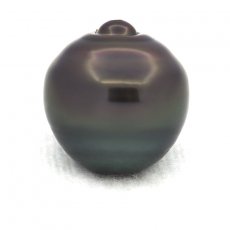 Tahitian Pearl Ringed C 14.3 mm