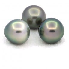 Lot of 3 Tahitian Pearls Semi-Baroque C from 12 to 12.4 mm