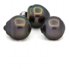 Lot of 3 Tahitian Pearls Ringed B from 12 to 12.3 mm