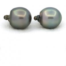 Lot of 2 Tahitian Pearls Semi-Baroque C 13.5 and 13.7 mm