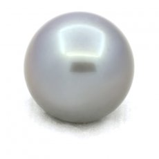 Tahitian Pearl Round B 14 mm
