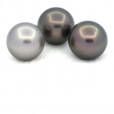Lot of 3 Tahitian Pearls Round C from 12.5 to 12.8 mm