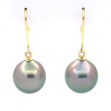 14K solid Gold Earrings and 2 Tahitian Pearls Semi-Baroque B 9.5 mm