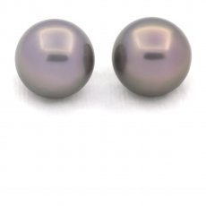 Lot of 2 Tahitian Pearls Round C 11.9 mm