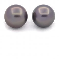 Lot of 2 Tahitian Pearls Round C 12 mm