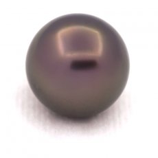 Tahitian Pearl Round B/C 12.4 mm