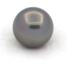 Tahitian Pearl Round C 15 mm