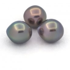 Lot of 3 Tahitian Pearls Semi-Baroque C from 11 to 11.3 mm