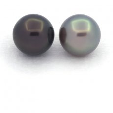 Lot of 2 Tahitian Pearls Round C 10.8 mm
