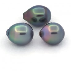 Lot of 3 Tahitian Pearls Semi-Baroque C from 11 to 11.3 mm