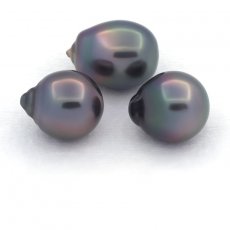 Lot of 3 Tahitian Pearls Semi-Baroque B from 11 to 11.3 mm