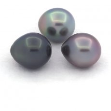 Lot of 3 Tahitian Pearls Semi-Baroque C from 10.5 to 10.9 mm