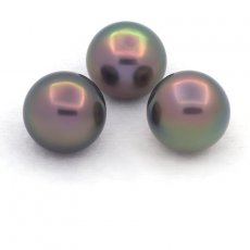 Lot of 3 Tahitian Pearls Semi-Baroque B from 10.6 to 10.7 mm