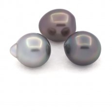 Lot of 3 Tahitian Pearls Semi-Baroque B from 10.6 to 10.8 mm