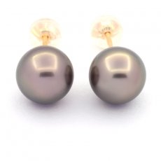 18K solid Gold Earrings and 2 Tahitian Pearls Round B/C 9.2 mm