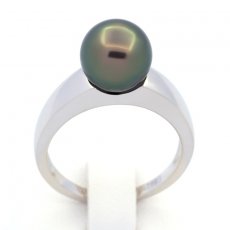 Rhodiated Sterling Silver Ring and 1 Tahitian Pearl Round B 8.6 mm