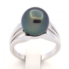 Rhodiated Sterling Silver Ring and 1 Tahitian Pearl Round B/C 10.9 mm