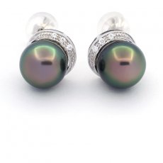 Rhodiated Sterling Silver Earrings and 2 Tahitian Pearls Near Rounds C 9.5 mm