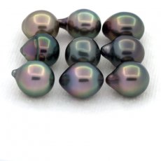 Lot of 9 Tahitian Pearls Semi-Baroque B from 8 to 8.4 mm