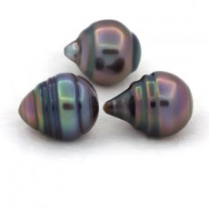 Lot of 3 Tahitian Pearls Ringed C from 10.5 to 10.8 mm