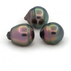 Lot of 3 Tahitian Pearls Ringed C from 11 to 11.4 mm
