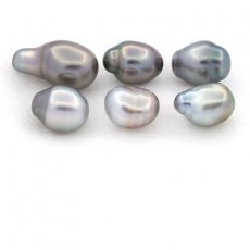 Batch of 6 Tahitian Keishis - 3 gr