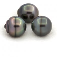 Lot of 3 Tahitian Pearls Ringed C from 12.5 to 12.9 mm