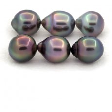 Lot of 6 Tahitian Pearls Semi-Baroque B from 9.6 to 9.8 mm