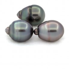 Lot of 3 Tahitian Pearls Ringed C from 11.6 to 11.9 mm