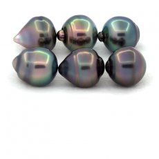 Lot of 6 Tahitian Pearls Ringed B/C from 10.5 to 10.9 mm