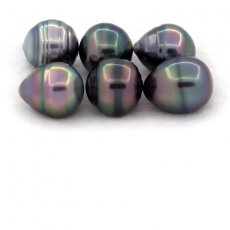 Lot of 6 Tahitian Pearls Ringed C from 11 to 11.5 mm