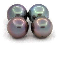 Lot of 4 Tahitian Pearls Round C from 10.6 to 10.7 mm