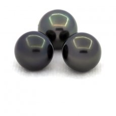 Lot of 3 Tahitian Pearls Round C from 10 to 10.4 mm