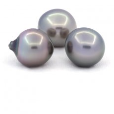Lot of 3 Tahitian Pearls Semi-Baroque B/C from 13.5 to 13.7 mm
