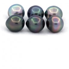 Lot of 6 Tahitian Pearls Semi-Baroque B/C from 11.5 to 11.8 mm