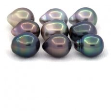 Lot of 9 Tahitian Pearls Semi-Baroque C from 8.5 to 8.9 mm