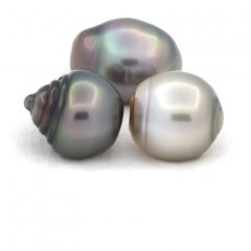 Lot of 3 Tahitian Pearls Ringed C from 10.6 to 10.8 mm