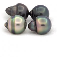 Lot of 4 Tahitian Pearls Ringed B/C from 10.5 to 10.8 mm
