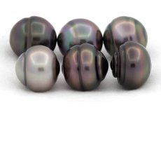 Lot of 6 Tahitian Pearls Ringed B/C from 12 to 12.4 mm