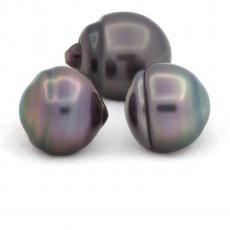 Lot of 3 Tahitian Pearls Ringed B from 11 to 11.3 mm