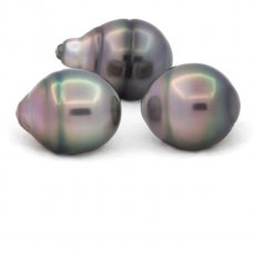 Lot of 3 Tahitian Pearls Ringed B from 11.5 to 11.9 mm