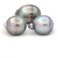 Lot of 3 Tahitian Pearls Ringed B/C from 12.1 to 12.2 mm