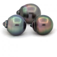 Lot of 3 Tahitian Pearls Ringed B from 11.5 to 11.9 mm
